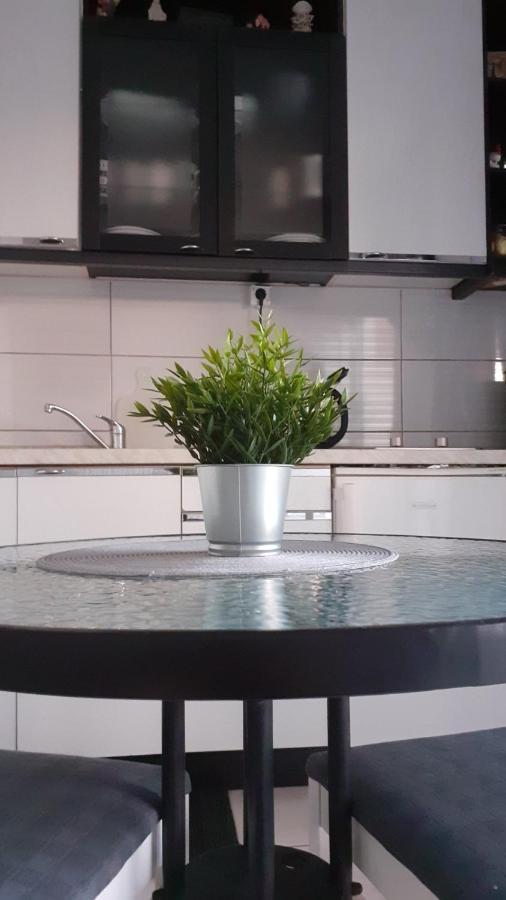 Apartment Viki Lozovac Kültér fotó