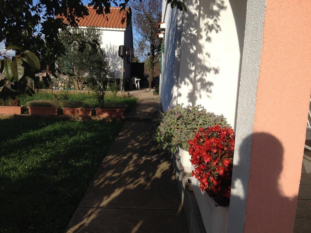 Apartment Viki Lozovac Kültér fotó